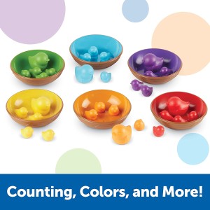 Zestaw Do Sortowania Ptaki i Gniazda