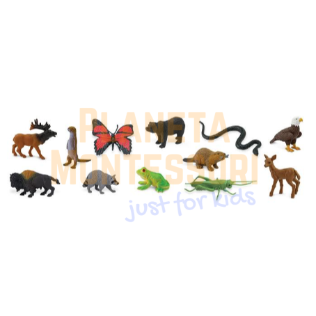 Screenshot-2018-4-20 In the Woods TOOB®(1).png