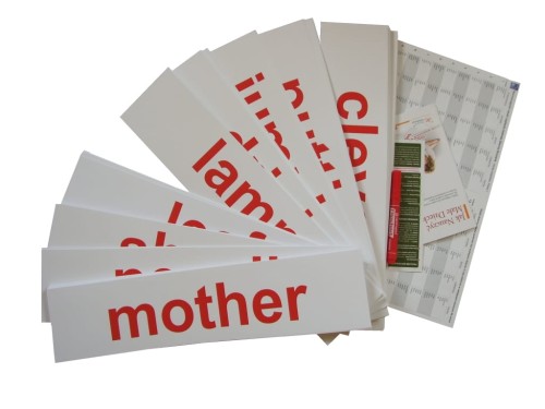 Nauka czytanie j. angielski metoda domana.jpg