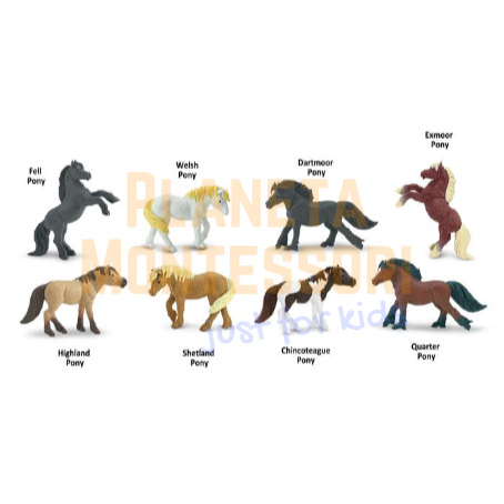 Screenshot-2018-4-30 Ponies TOOB®(2).png