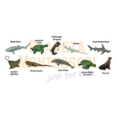 zagrożone-gatunki-zwierzęta-zagrożone-wyginięciem-figurki-safari-tuba-zabawki-edukacyjne (1).png