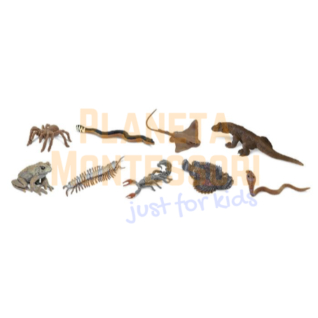 najbardziej-jadowite-zwierzęta-świata-figurki-safari-zabawki-edukacyjne-pomoce-montessori-pol-pl (2).png