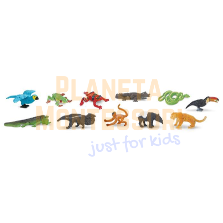 Screenshot-2018-4-30 Rainforest TOOB®(1).png