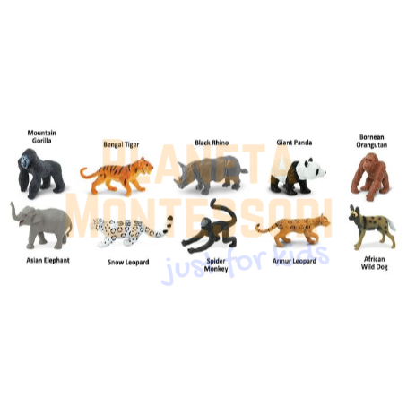 zagrożone-gatuni-zwierząt-figurki-safari-zabawki-edukacyjne-montessori-pomoce-material-animals-toobs (1).png