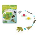 żaba-żaby-safari-figurki-zwierząt-edukacyjne-zabawki-pomoce-montessori-cykl-życia-1.jpg
