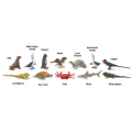 zwierzęta-galapagos-figurki-safari-tuba-zabawki-edukacyjne-montessori-pol-pl-shop-online-1 (1).png