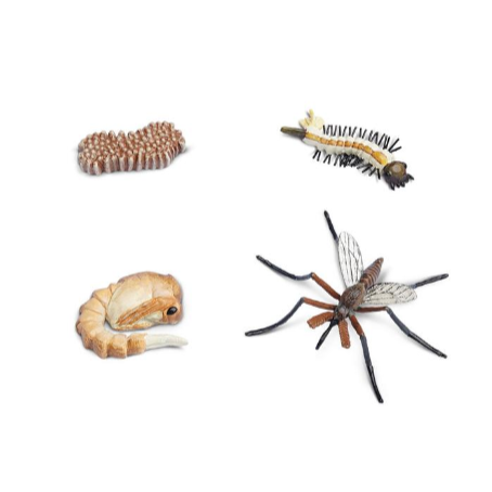 Screenshot-2018-4-19 Life Cycle of a Mosquito(1).png