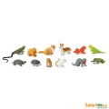 zwierzęta-domowe-figurki-safari-tuba-montessori-zabawki-edukacyjne-2.jpg