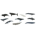 Screenshot-2018-4-20 Whales TOOB®.png