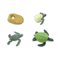 Screenshot-2018-4-19 Life Cycle of a Green Sea Turtle(1).png